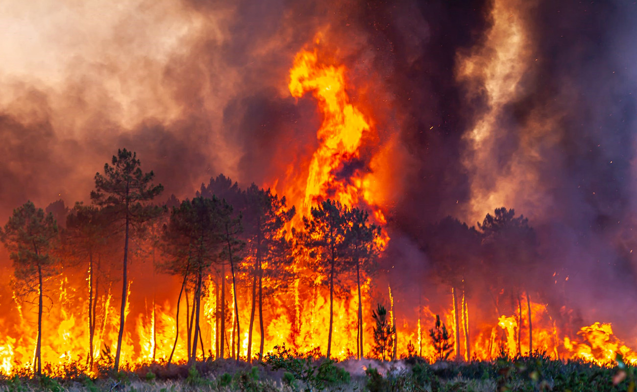 Fransa’da orman yangını: 500 hektar orman kül oldu
