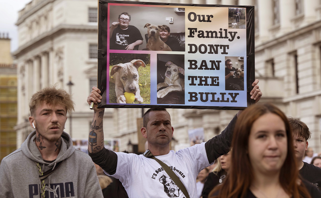 Tehlikeli Köpekler Yasası Londra'da protesto edildi