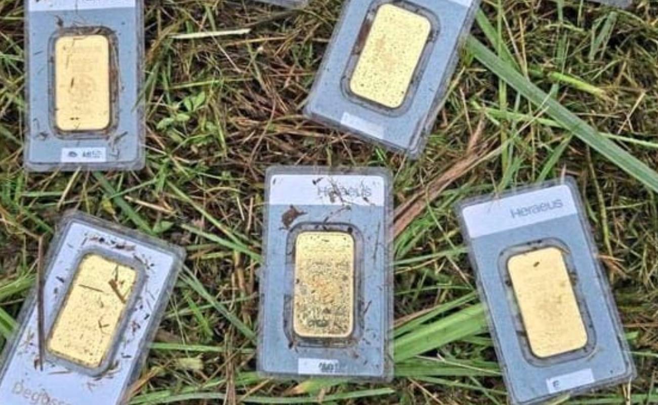 Çim biçerken bulunan külçe altınlar belediyeye kaldı